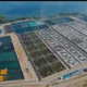 Tambak Udang: Peluang Bisnis Perikanan dengan Nilai Ekonomi Tinggi