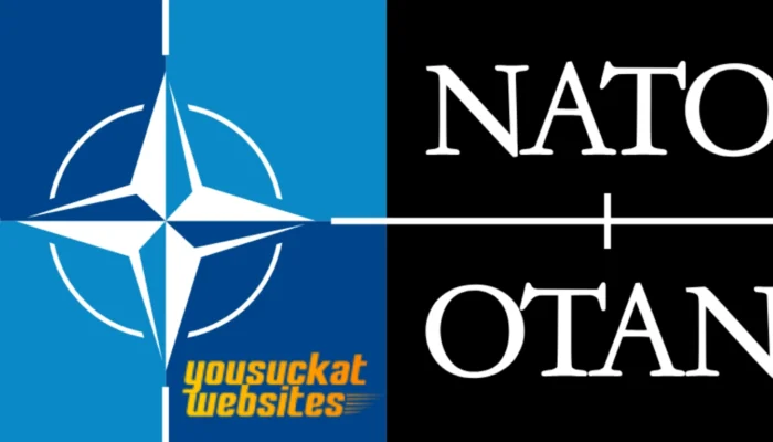 NATO: Aliansi Pertahanan Terbesar yang Berperan dalam Keamanan Global