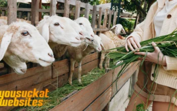 Peternakan Kambing: Peluang Usaha Ternak yang Menjanjikan
