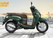 Honda Scoopy