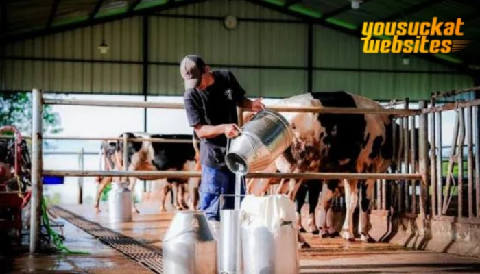 Peternakan Sapi Perah: Bisnis Potensi Keuntungan Menjanjikan